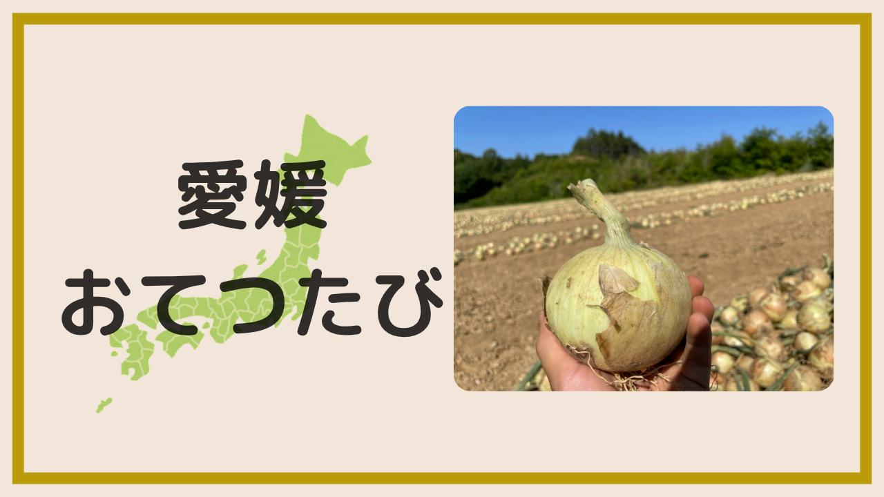 愛媛でおてつたびしてみた！アイキャッチ画像