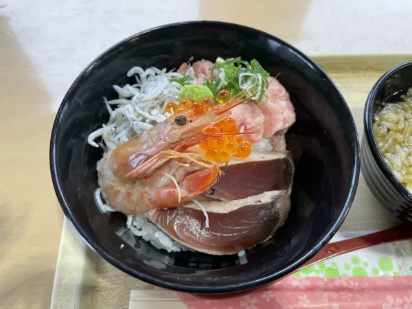 海の駅東洋町の海鮮丼