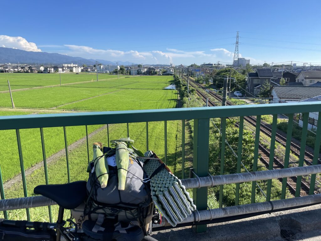 新潟の田んぼと線路の景色