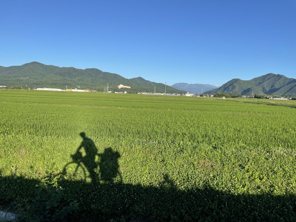 新潟の田んぼに映る自転車の影