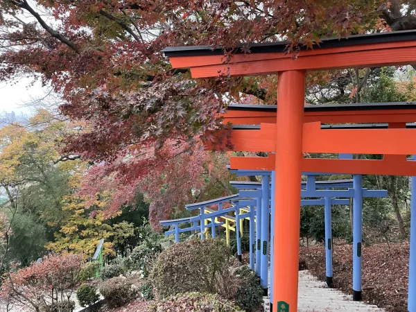 足利織姫神社の鳥居