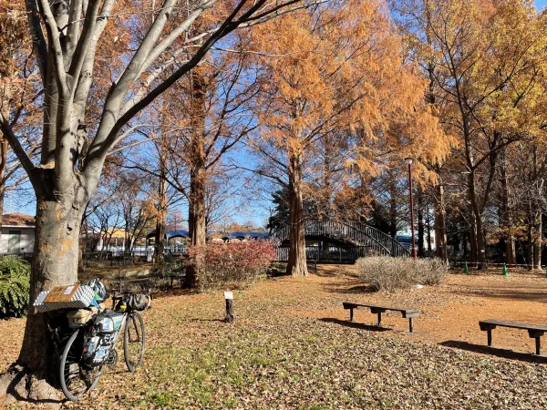 加須はなさき公園の紅葉と自転車