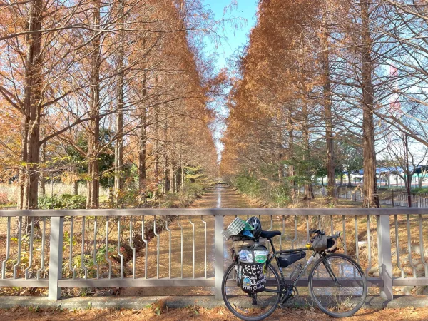 加須はなさき公園の紅葉と自転車