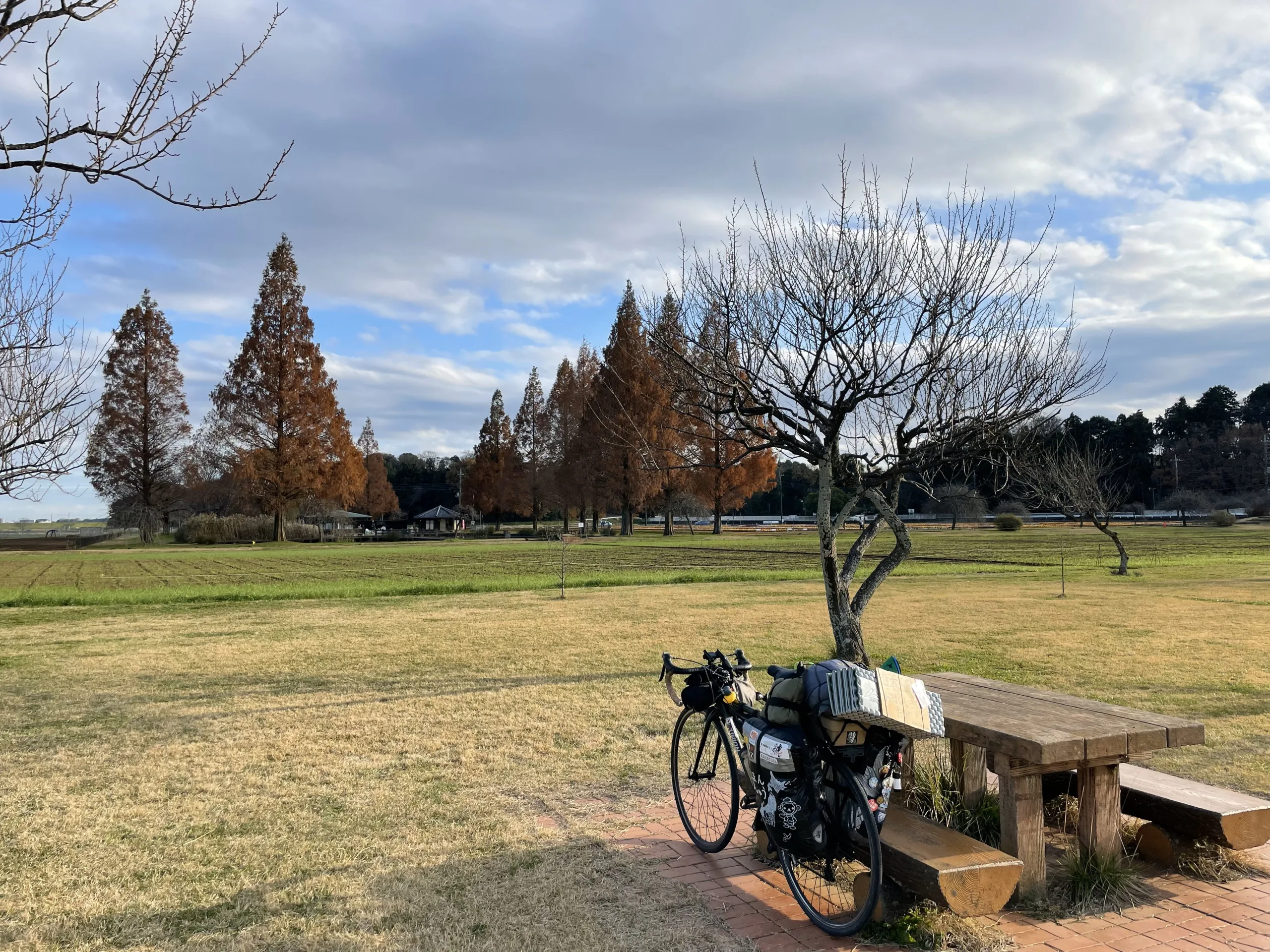 柏市あけぼの山公園