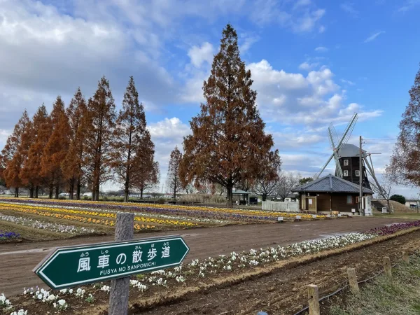 柏市あけぼの山公園