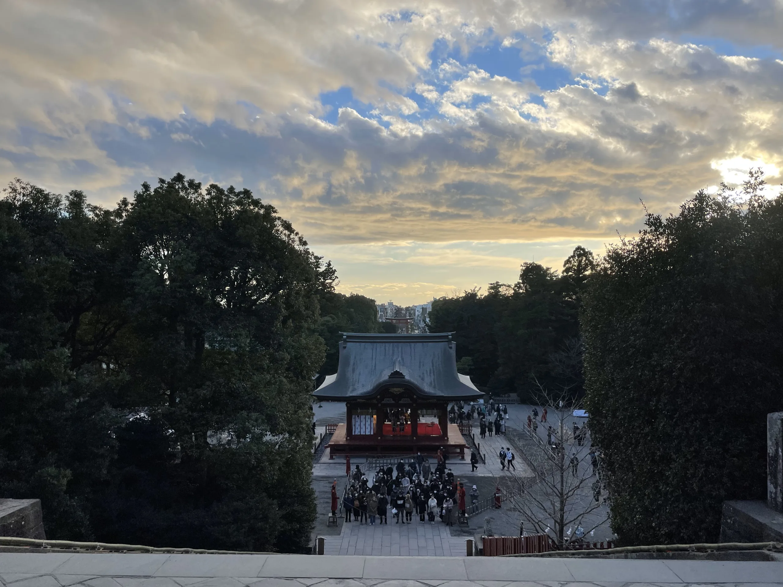 鶴岡八幡宮境内