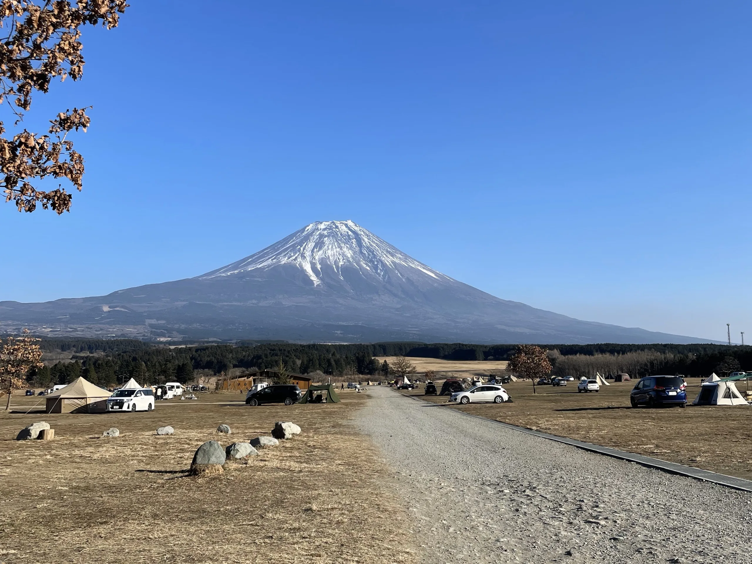 ふもとっぱら正面フリーサイト