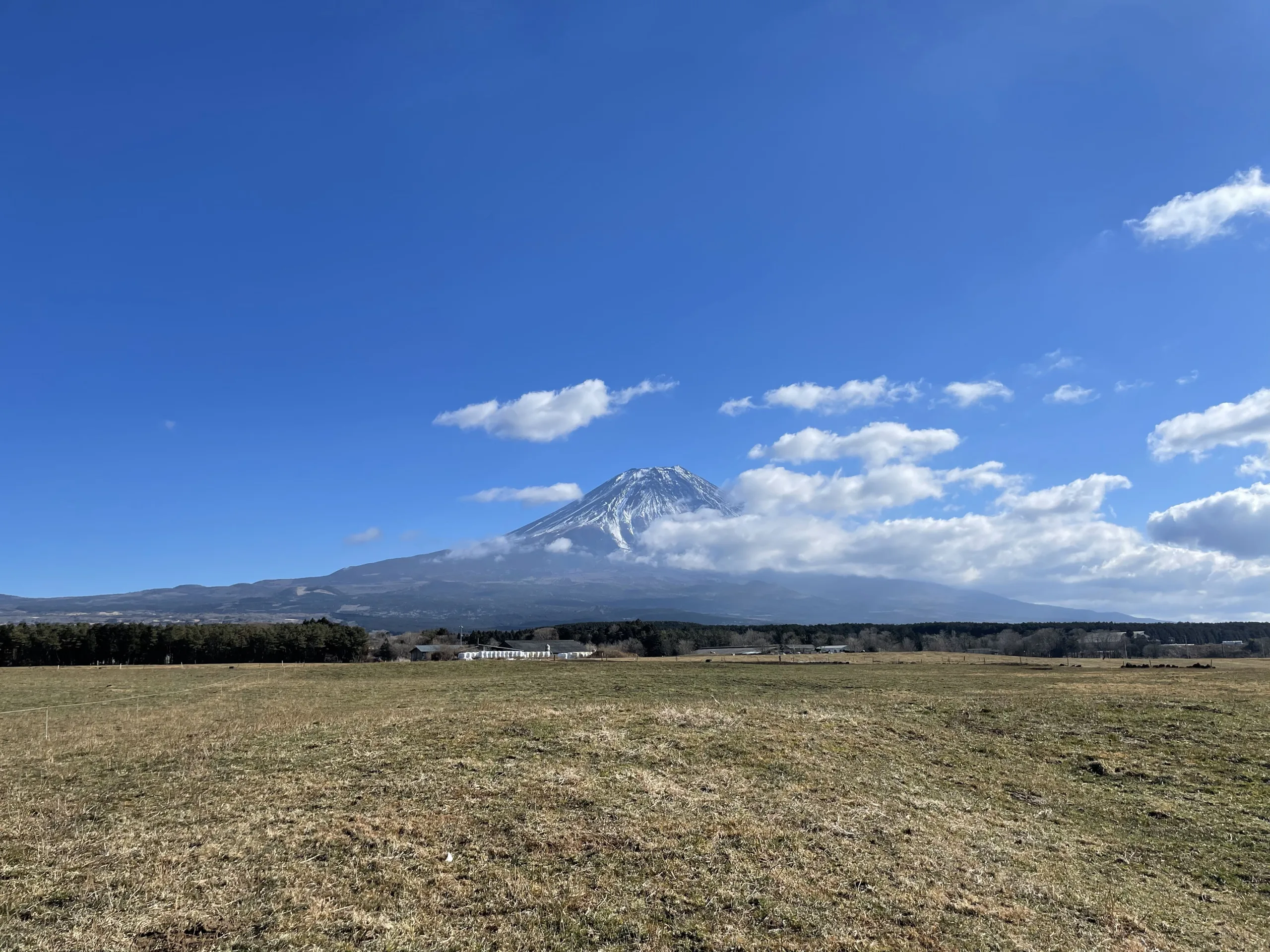 国道139号線から見た富士山