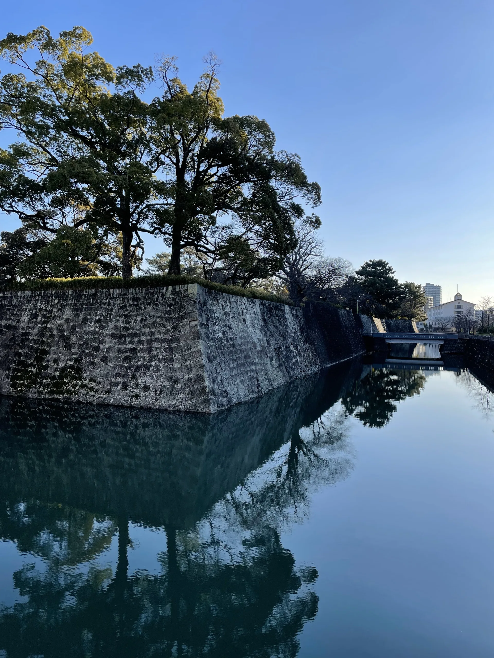 駿府城の石垣