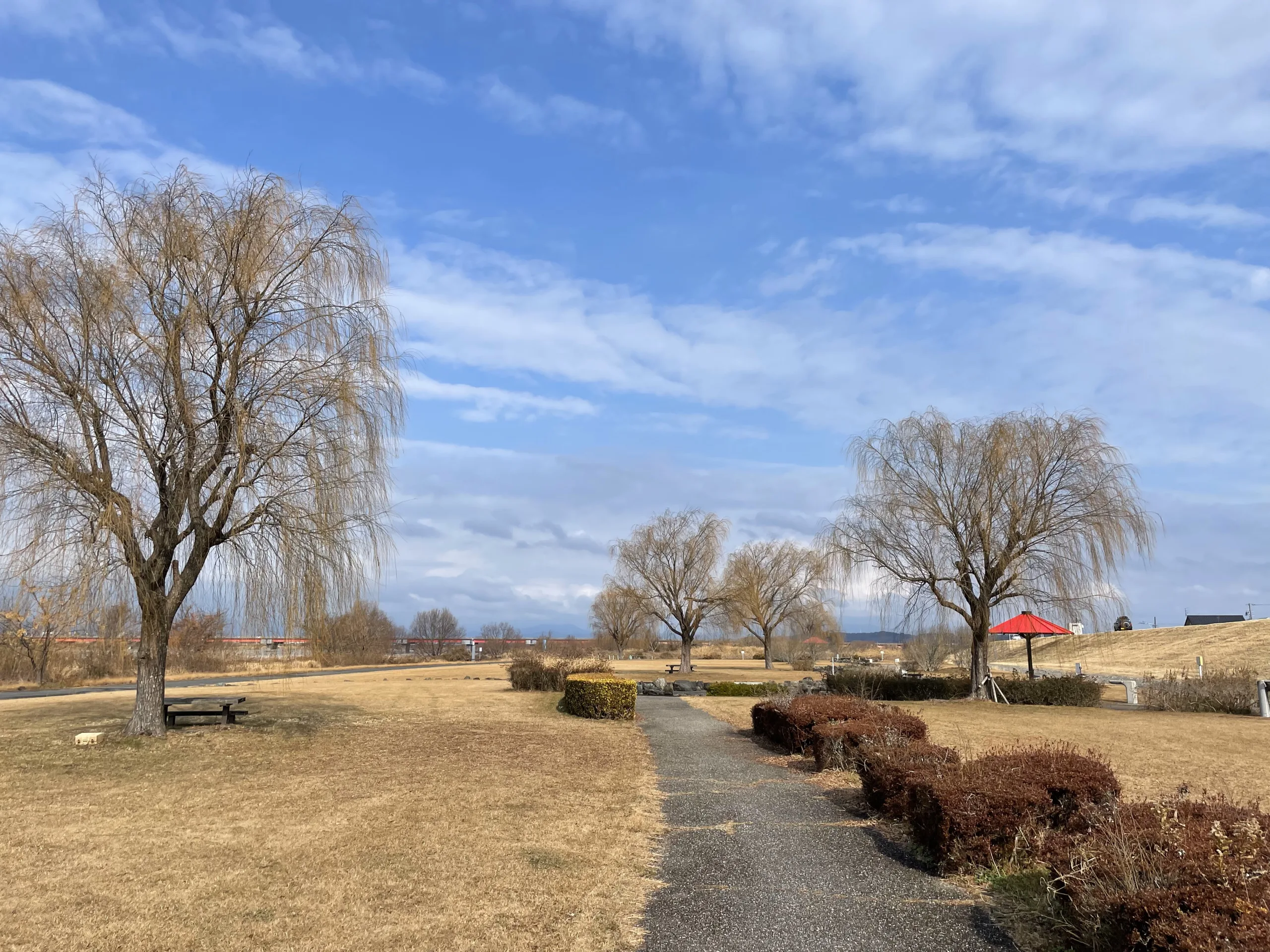 天竜川沿いの公園