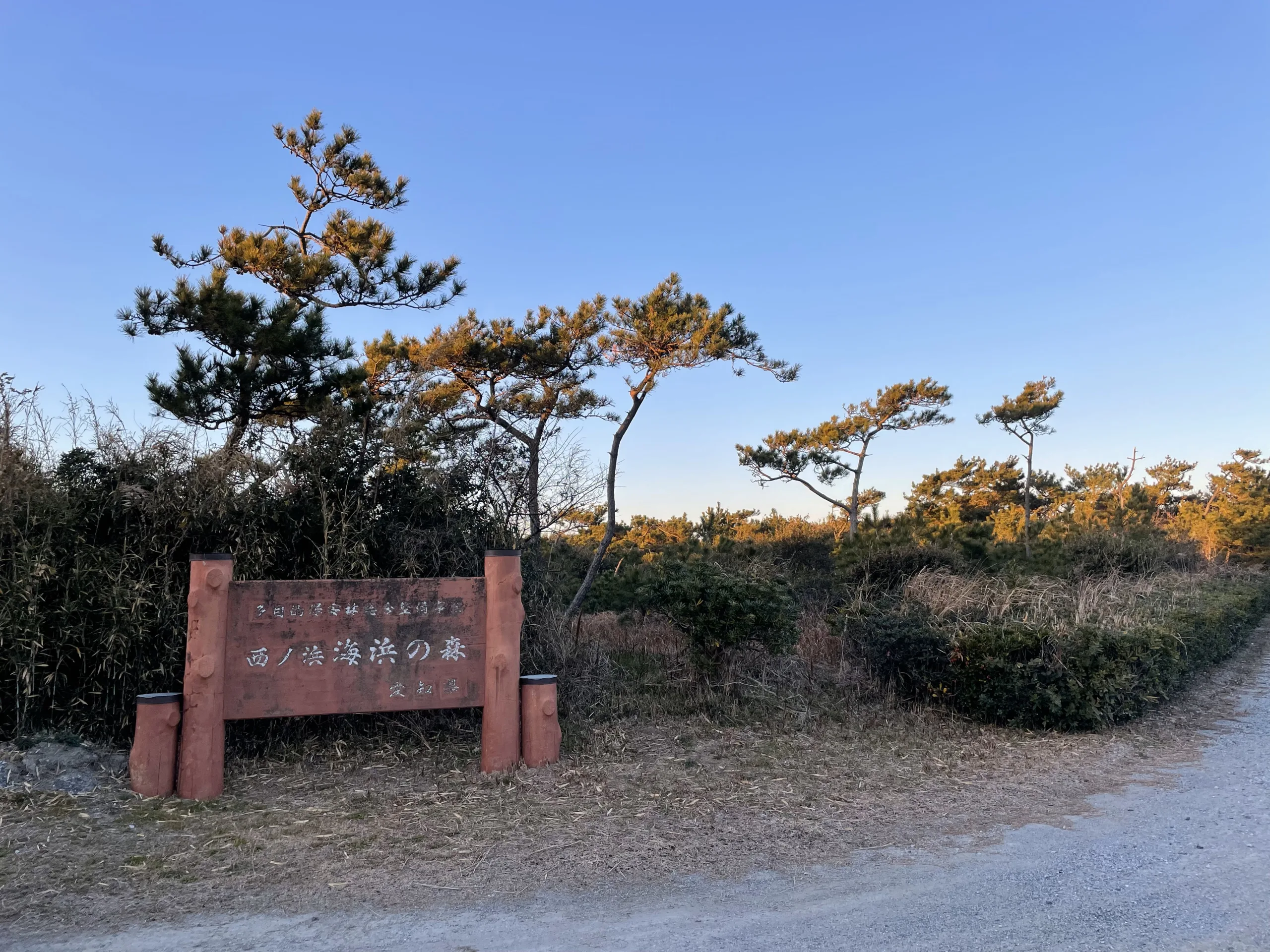 西ノ森海浜の森の入口