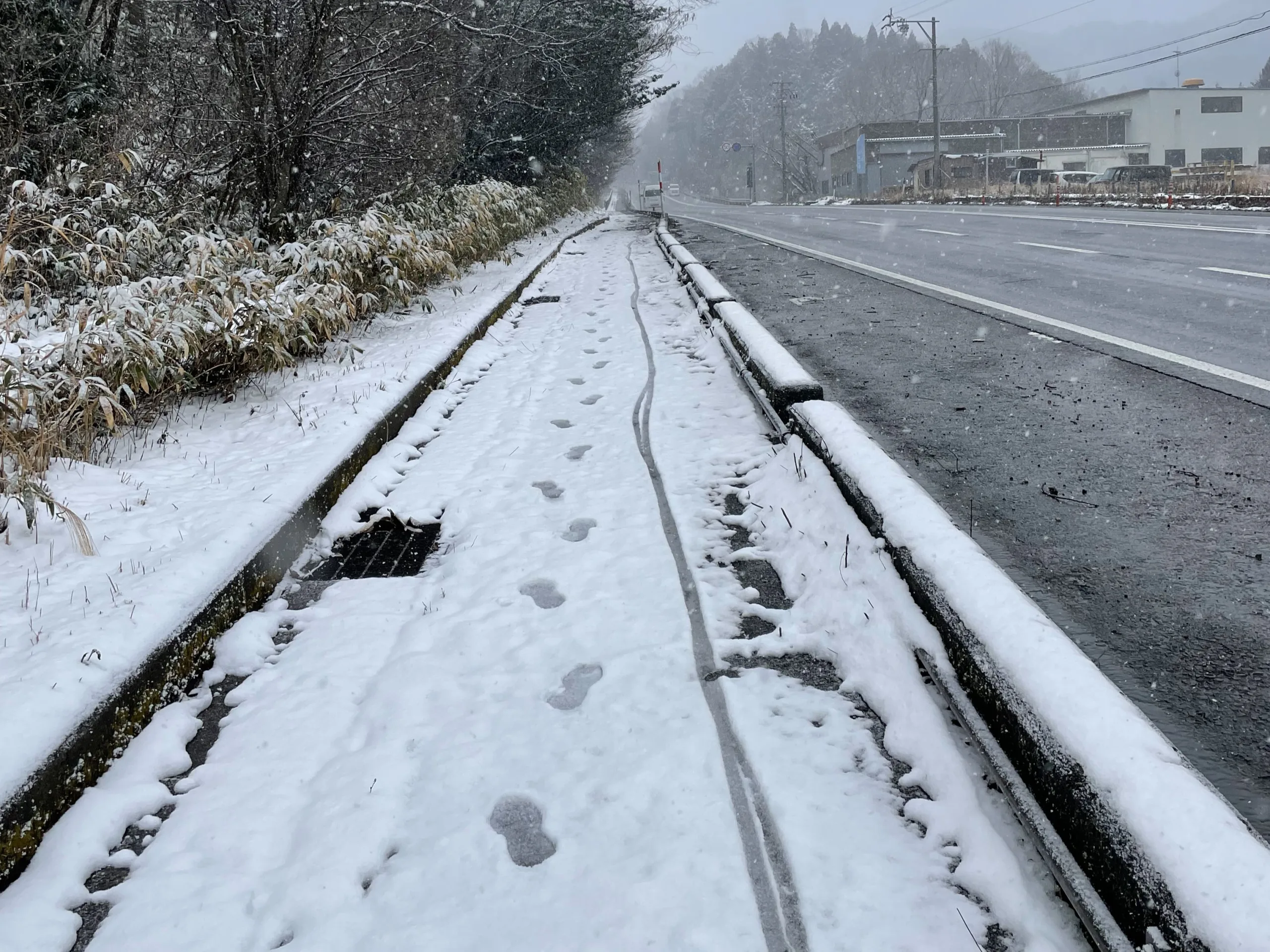 関ヶ原の国道21号線に積もる雪