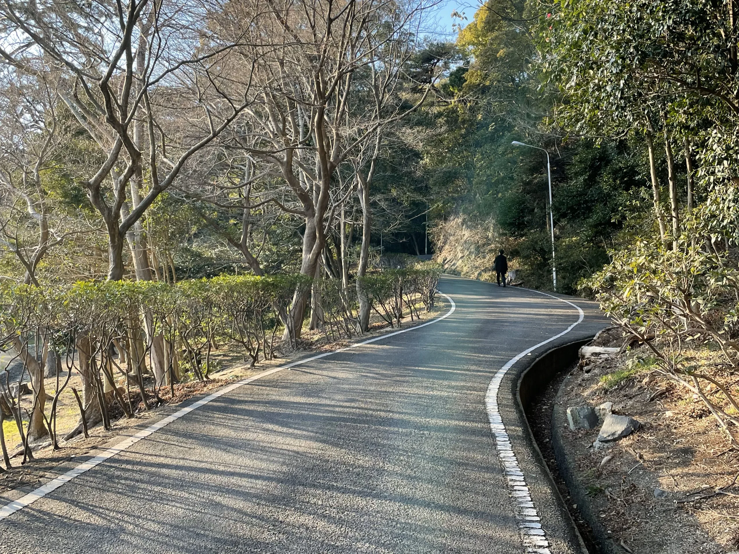 銭形砂絵の展望台までの坂道