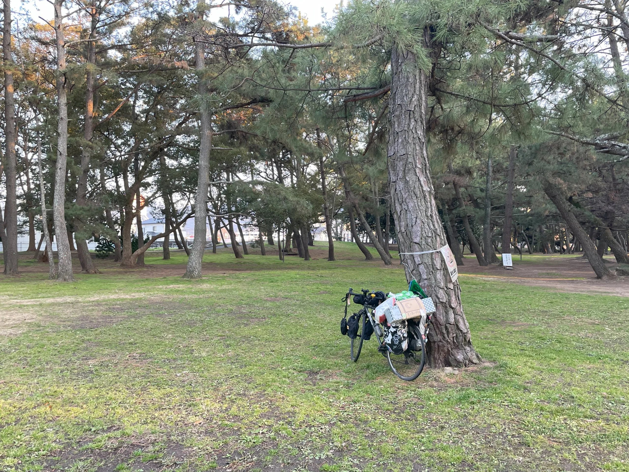 一の宮公園キャンプ場