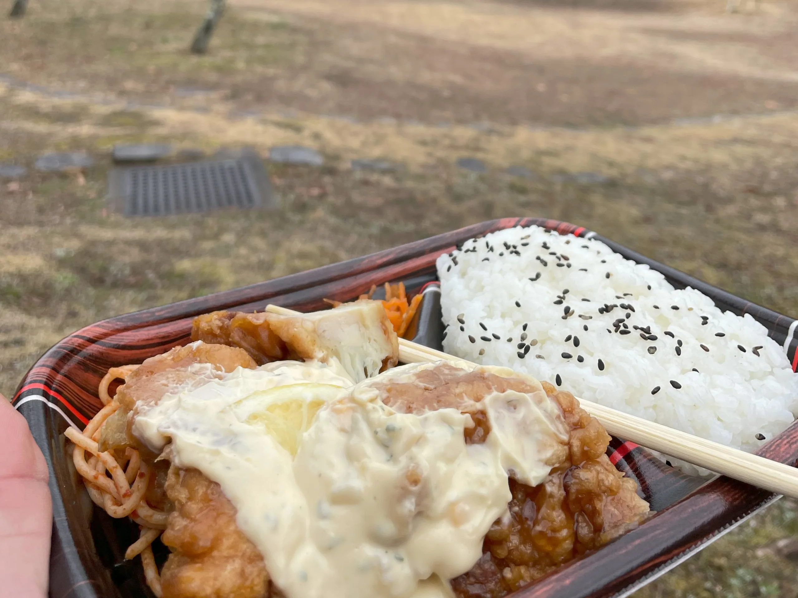 まきび公園で食べるチキン南蛮弁当