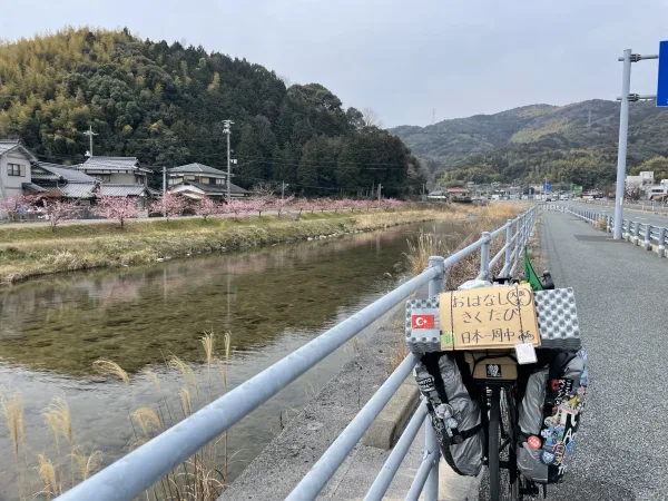 道の駅ソラーネ周南近くの桜並木