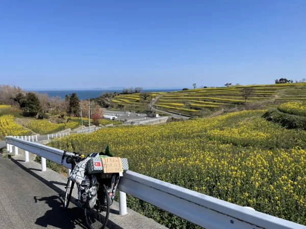 長崎鼻の菜の花畑と自転車