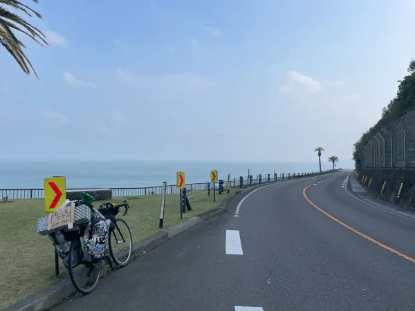 道の駅フェニックスまで続く国道220号線