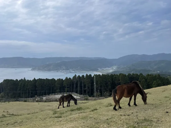 都井岬