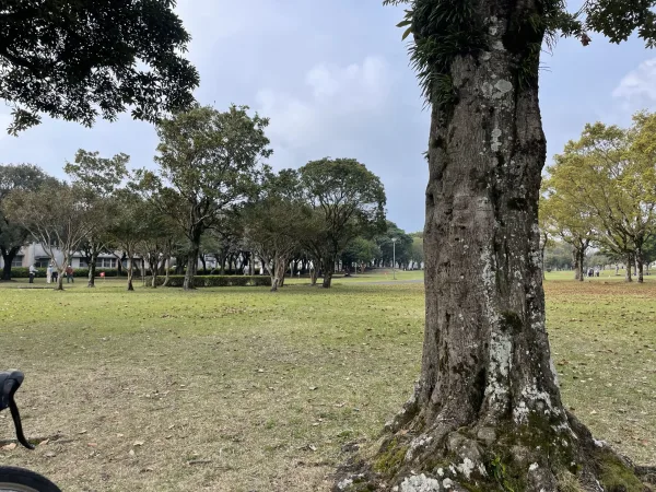 志布志大浜緑地公園