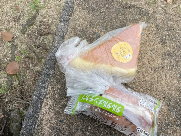 志布志市の公園で食べた菓子パン