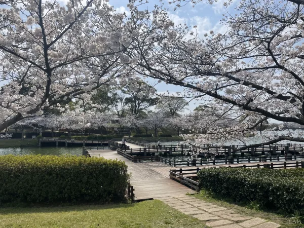 駕与丁公園の桜