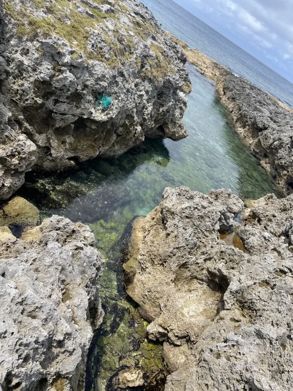 喜界島の海岸地形