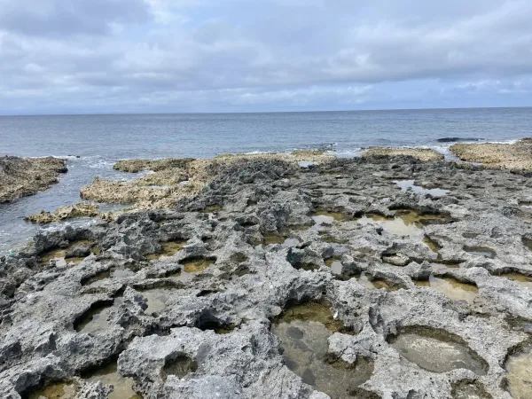 喜界島の海岸地形