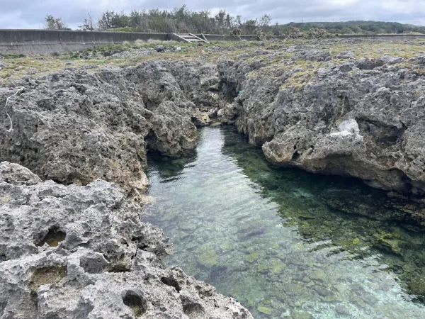 喜界島の海岸地形