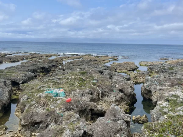 喜界島海岸のごみ