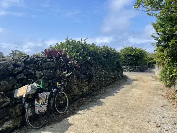 喜界島のサンゴの石垣