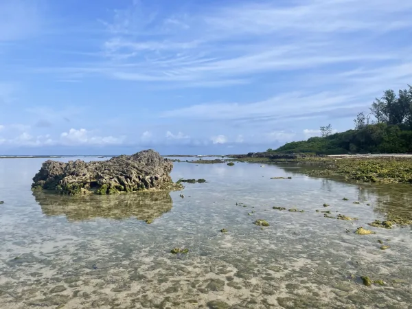 喜界島の海