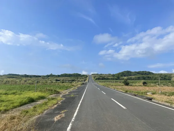 サトウキビの一本道