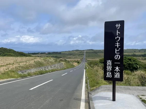 サトウキビの一本道