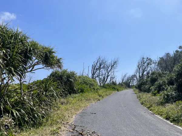 喜界島の志戸桶