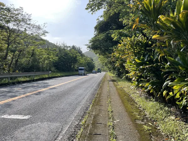 奄美大島の県道58号線