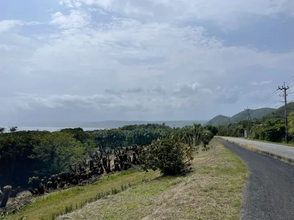 奄美大島の県道82号線