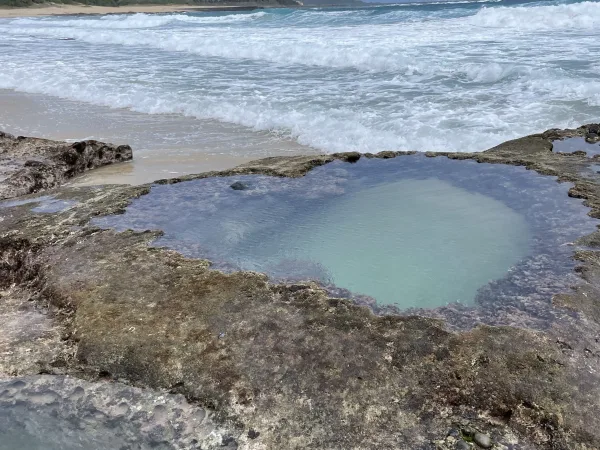 奄美大島のハートロック