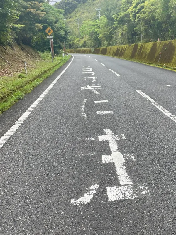 奄美大島のクロウサギに注意の道路標識