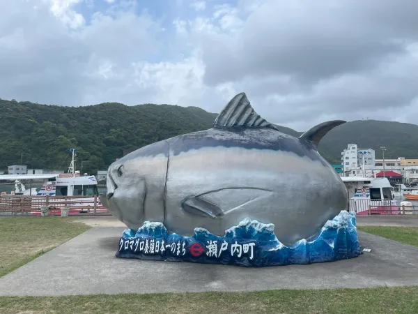 瀬戸内町のマグロオブジェ