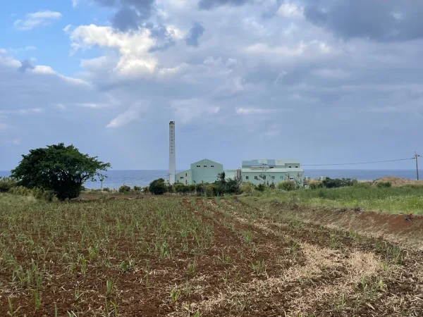 徳之島のサトウキビ工場