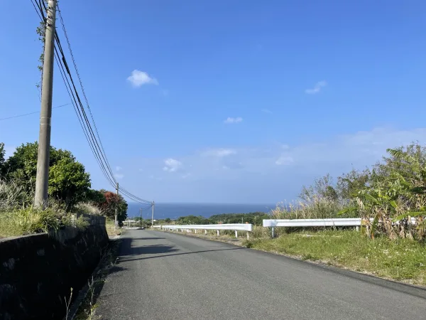 徳之島の道