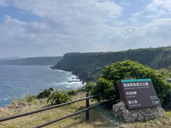 徳之島の犬田布岬