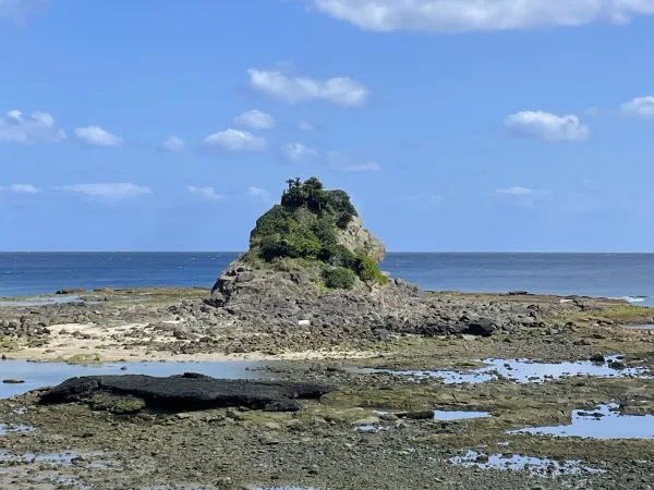 徳之島のゴリラ岩