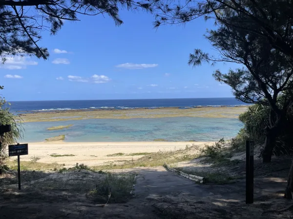 徳之島の海