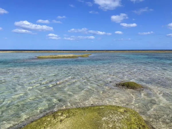 徳之島の海