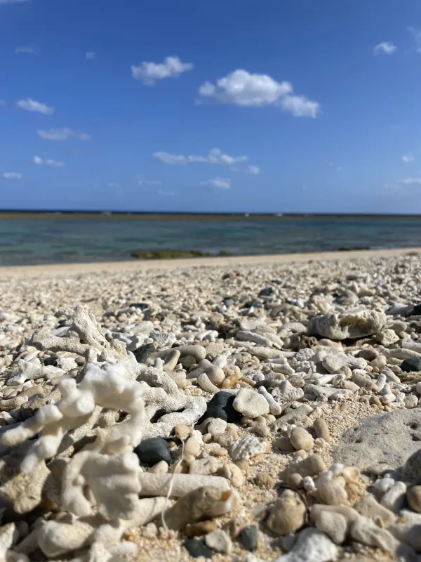 徳之島の砂浜