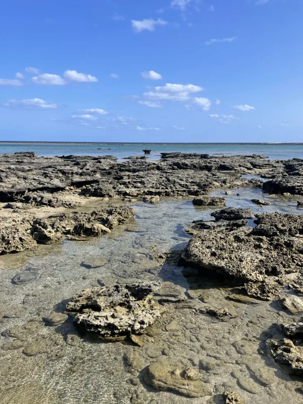 徳之島の海