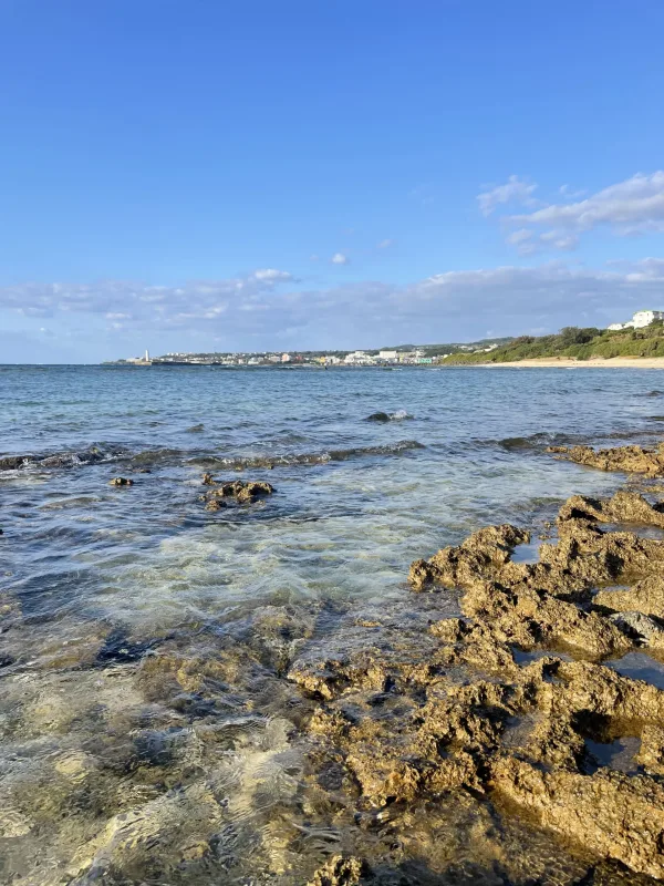 なごみの里公園近くの海岸