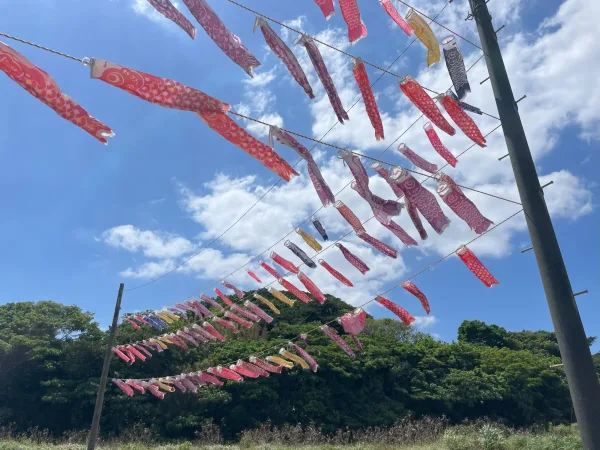 沖永良部島の鯉のぼり